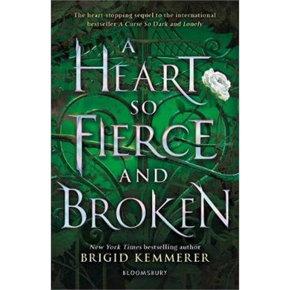 A Heart So Fierce and Broken (Paperback) - Brigid Kemmerer